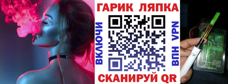 дарк нет Telegram  Судогда  ГАШ гарик 